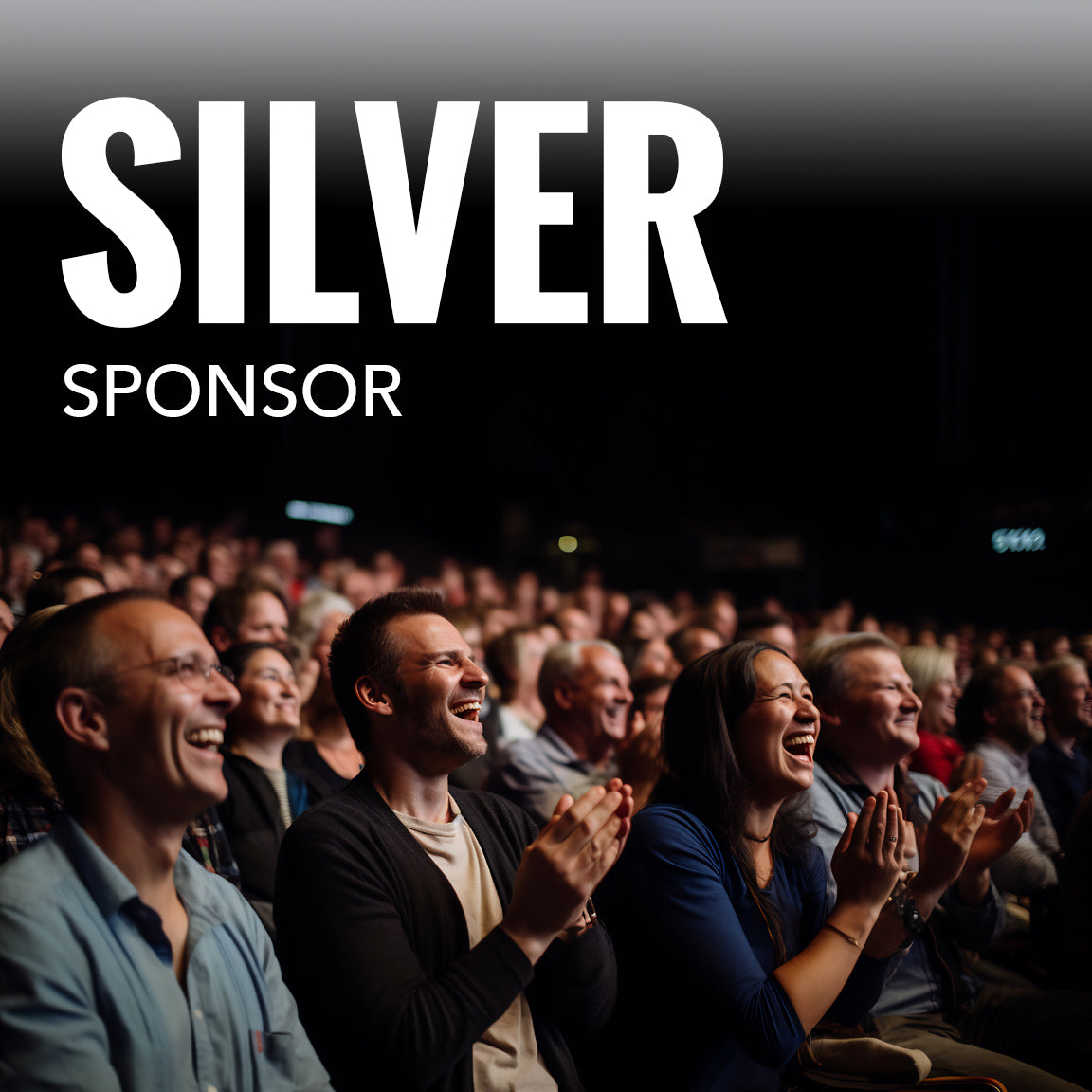 Silver Sponsorship